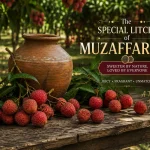LITCHI