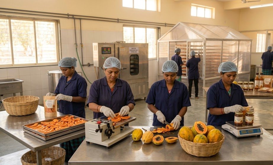 Packaged papaya products from Chhattisgarh