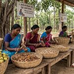 Narayanpur